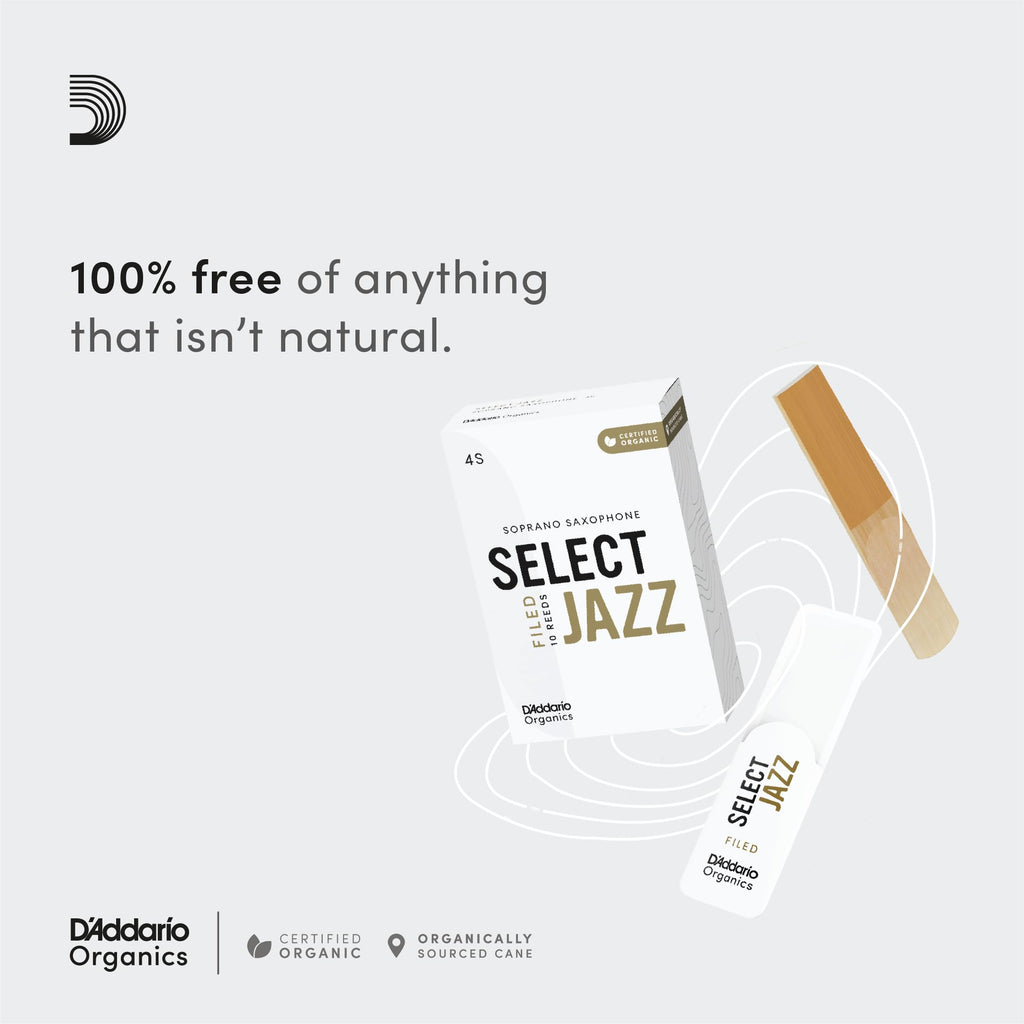 Alto Sax Reeds 2 Medium 10-Pack Y449652