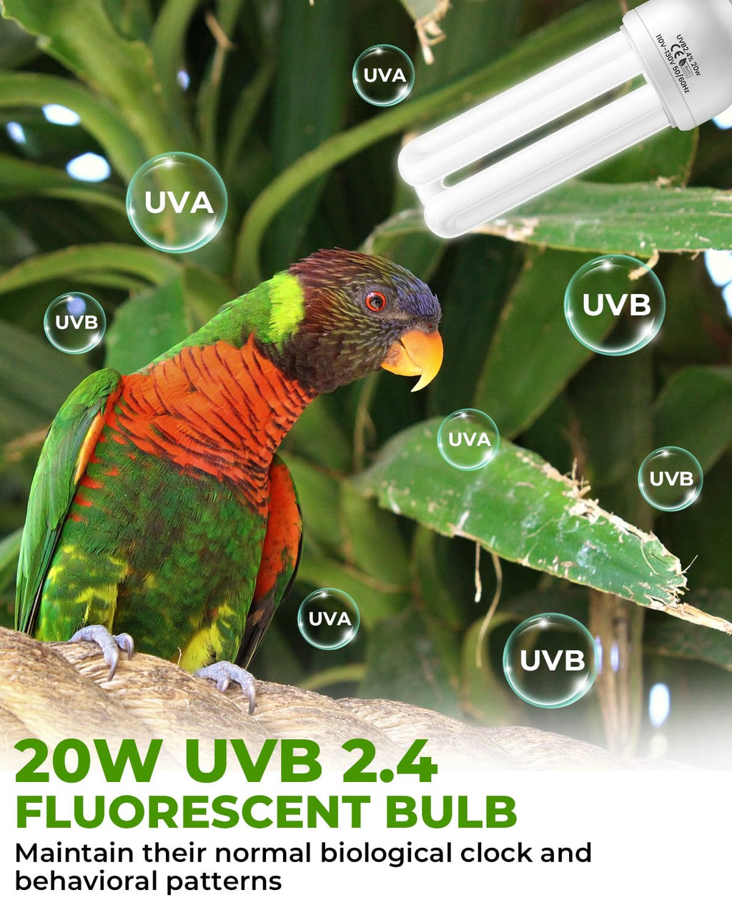 20W UVB Bird Cage Light Combo Kit Y2572