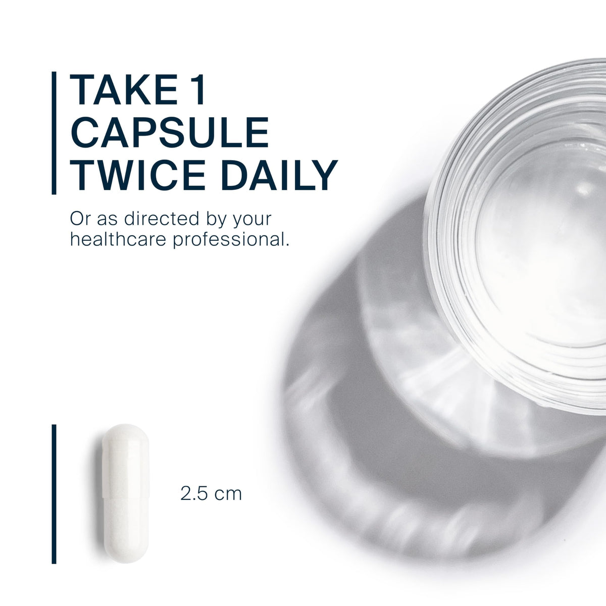 MSM 1,000mg 240 Capsules S263