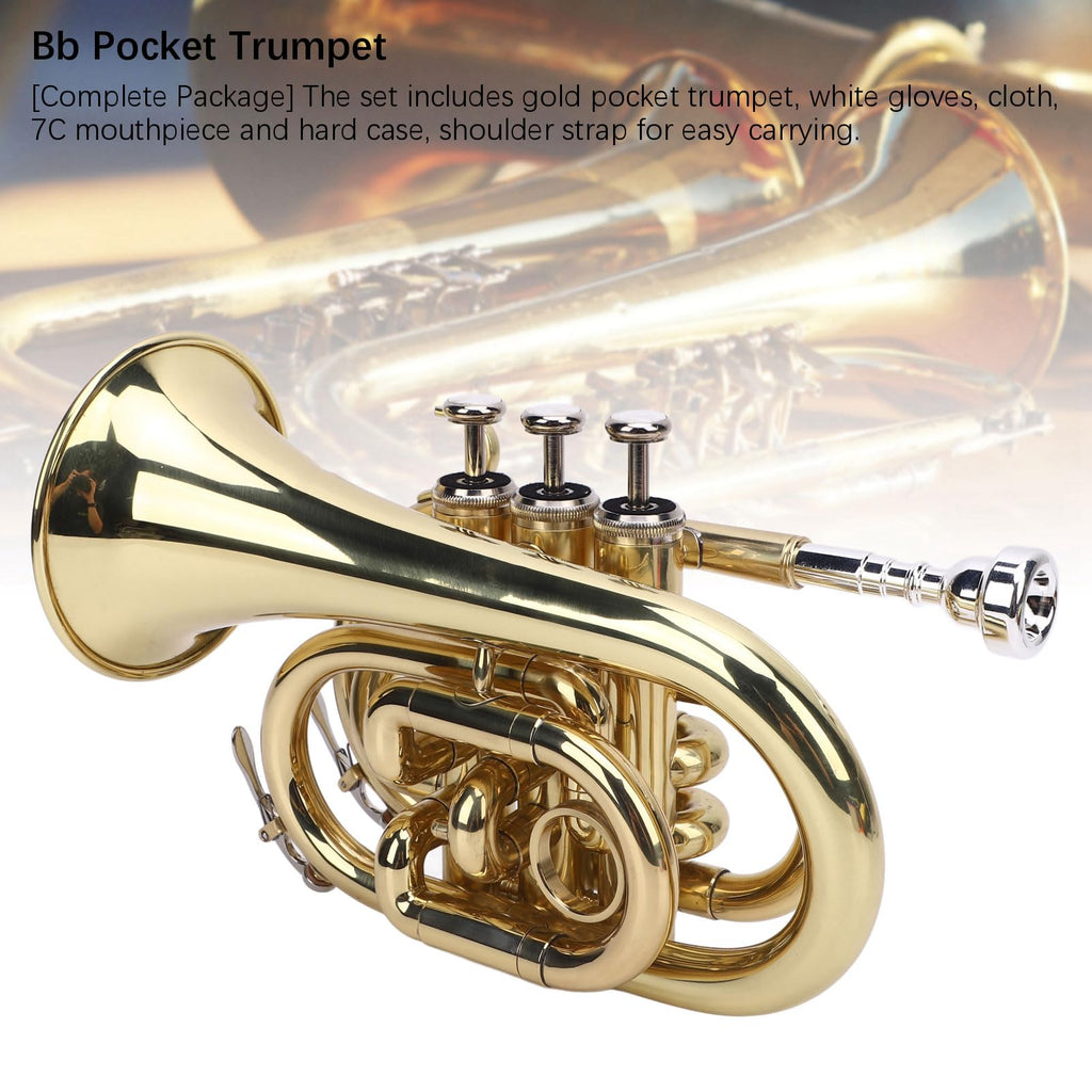 Bb Pocket Trumpet, Ni Plated Brass with 7C Mouthpiece M241417