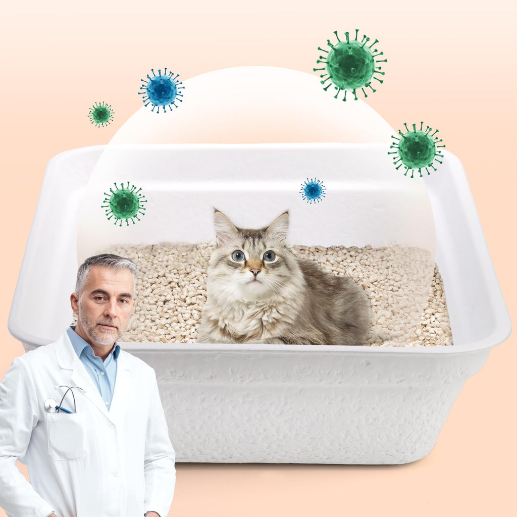 8 Pack White Cardboard Disposable Cat Litter Boxes D1935