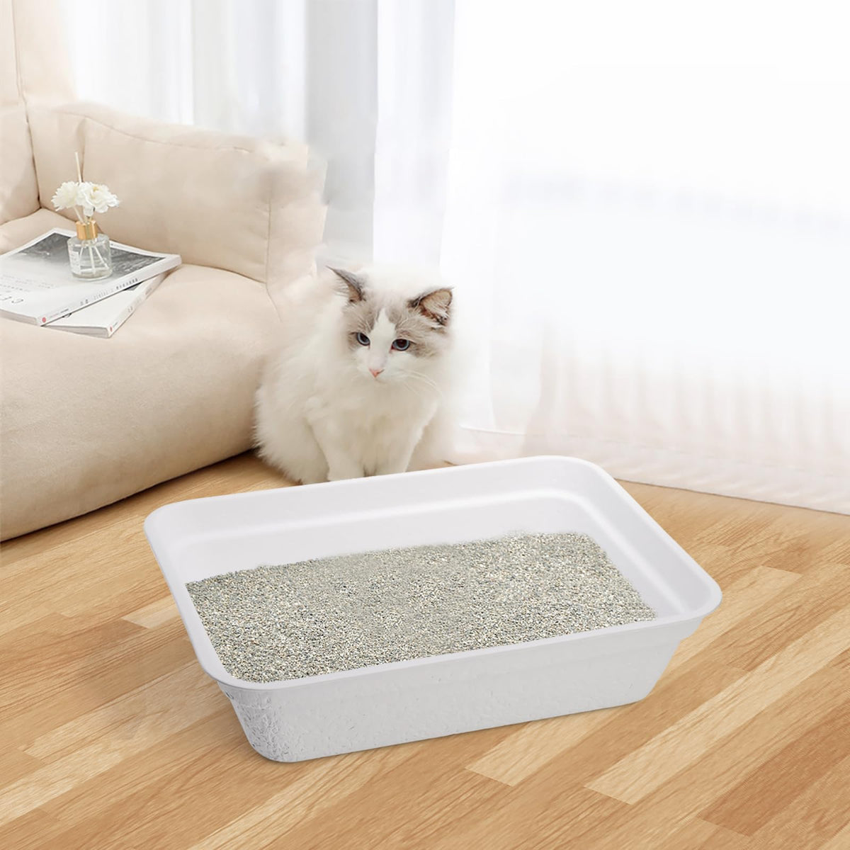 8 Pack White Cardboard Disposable Cat Litter Boxes D1935