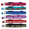 Nylon Cat Collar with Bell Q281