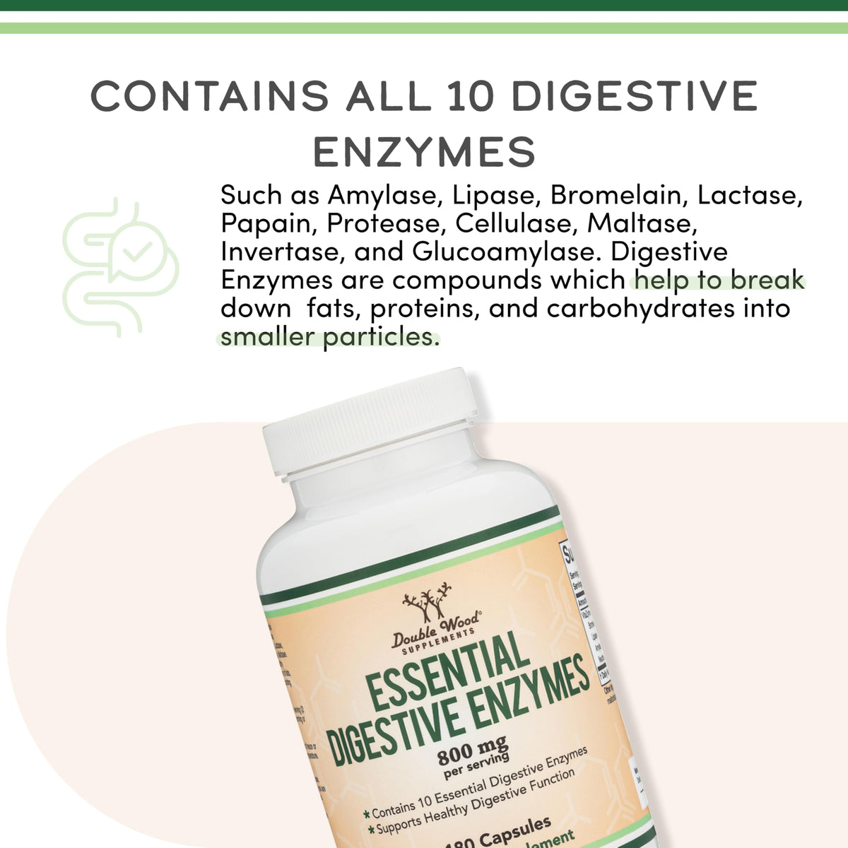 Digestive Enzymes 800mg L194