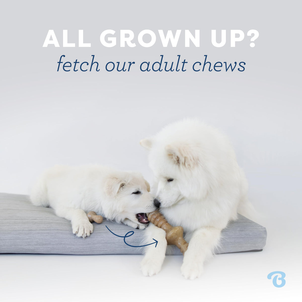 2-Pack Dog Chew Toys G32665