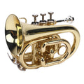 Bb Pocket Trumpet, Ni Plated Brass with 7C Mouthpiece M241417