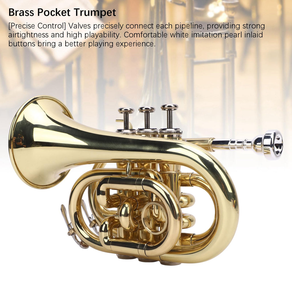 Bb Pocket Trumpet, Ni Plated Brass with 7C Mouthpiece M241417