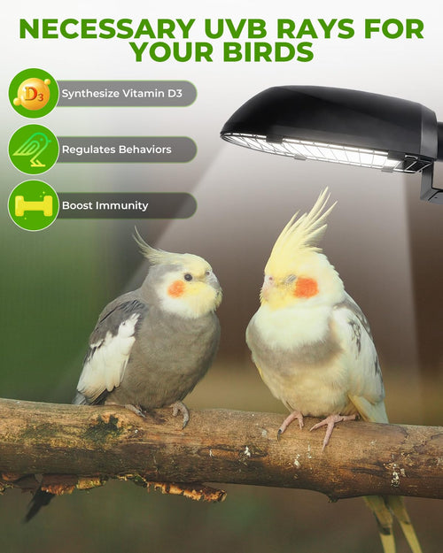 20W UVB Bird Cage Light Combo Kit Y2572