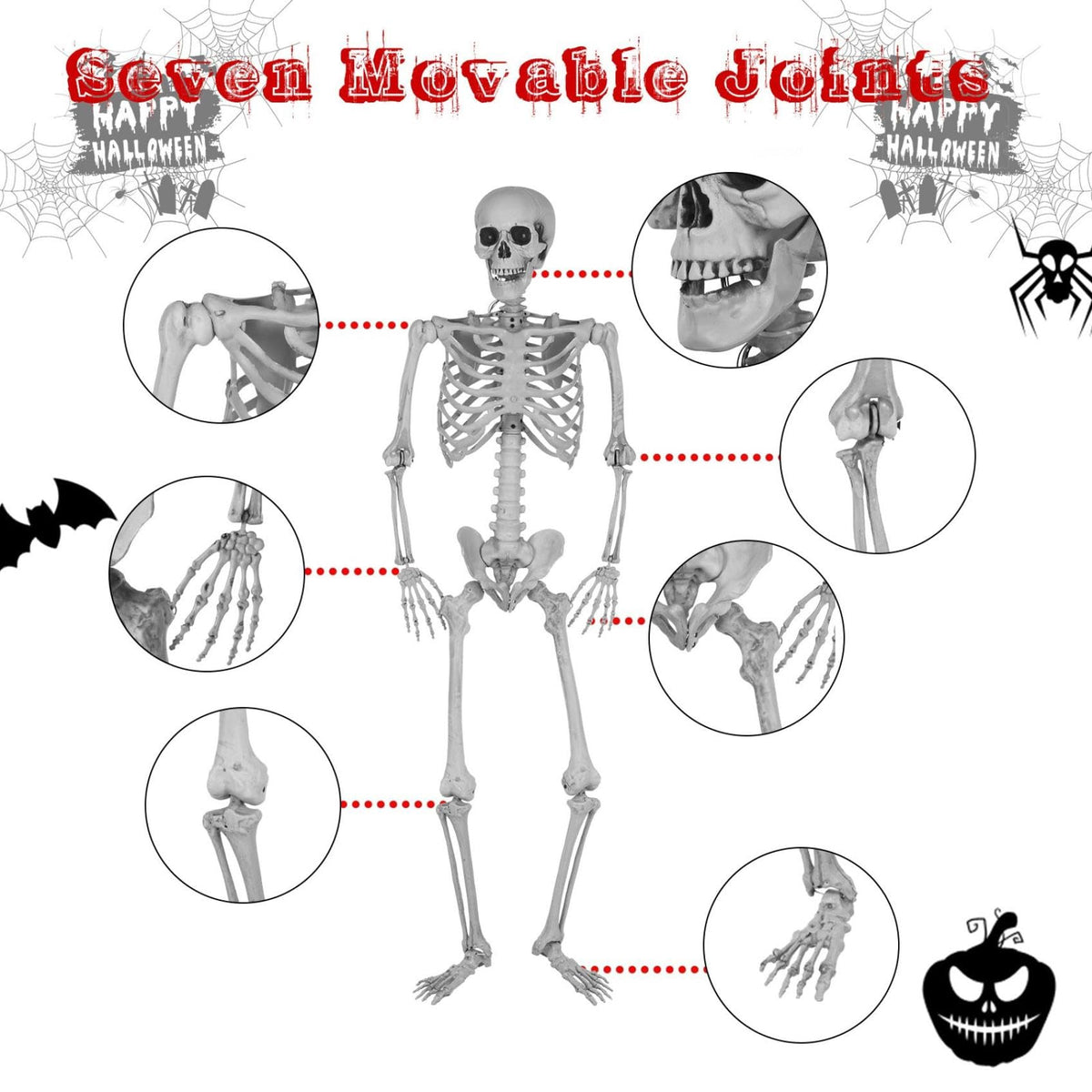 5.4Ft Posable Life Size Full Body Skeleton with Movable Joints I4396