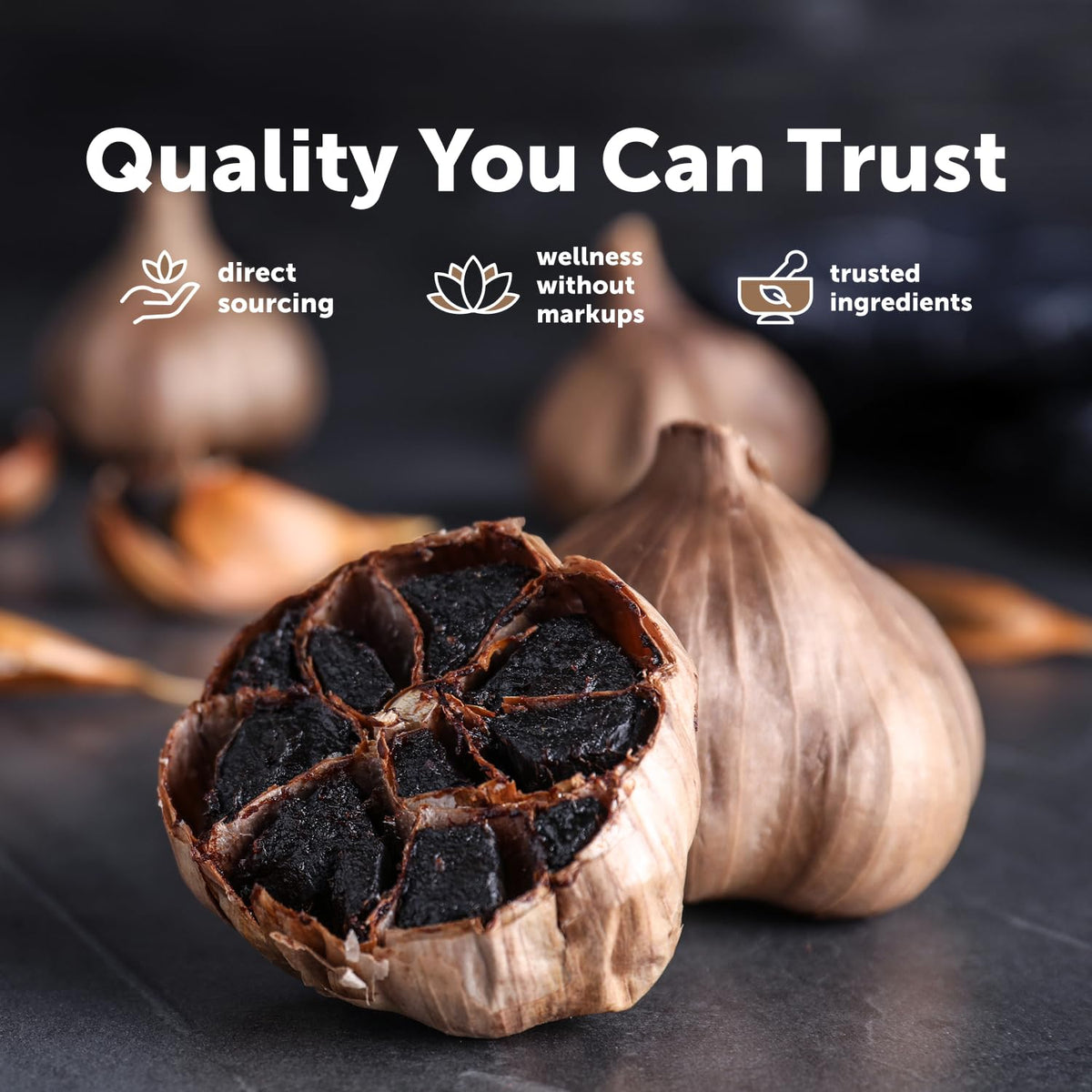 Odorless Aged Garlic & Black Garlic R773938