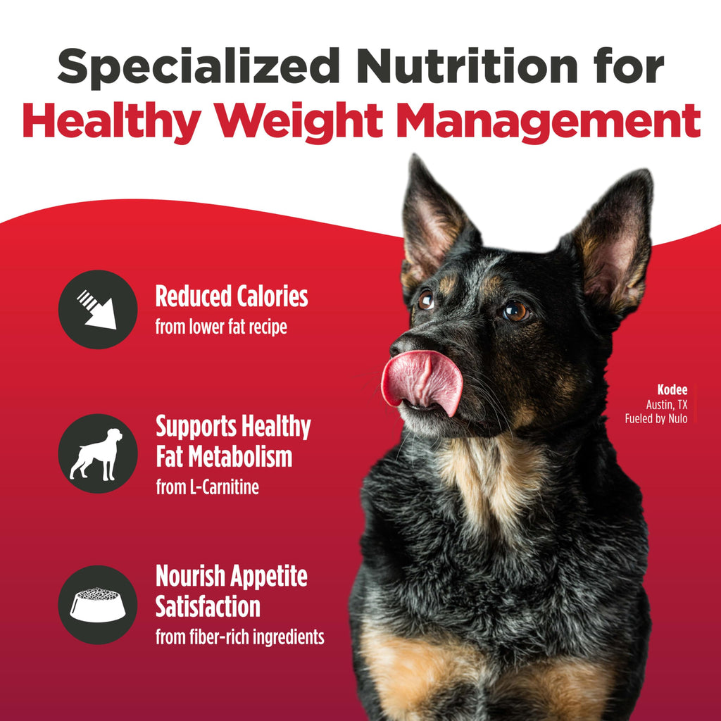 High Protein Grain Free Dry Dog Food F9204