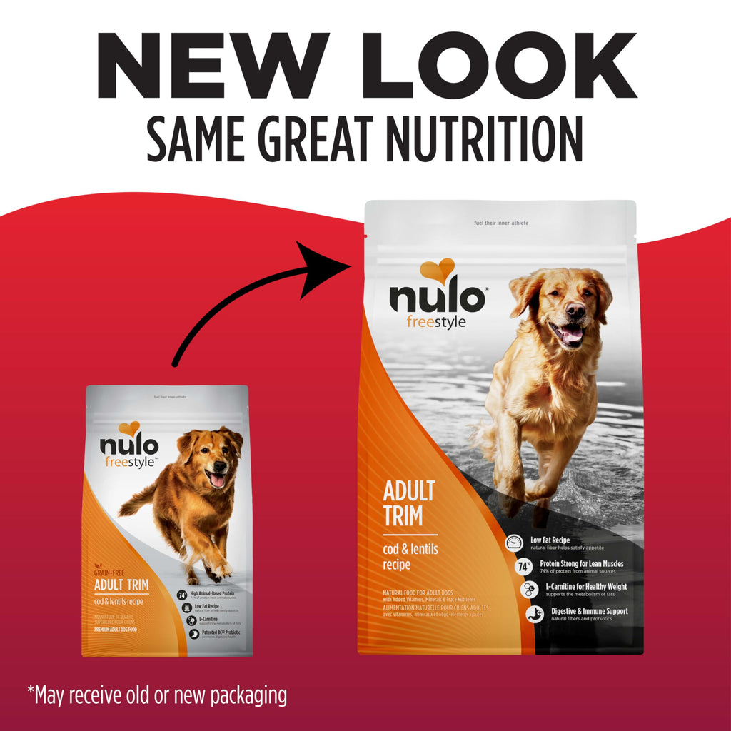 High Protein Grain Free Dry Dog Food F9204