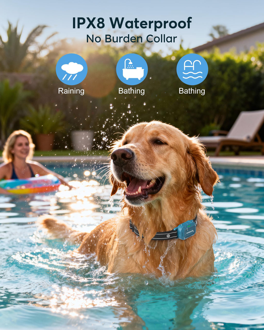Dog Training Collar with Remote S1510
