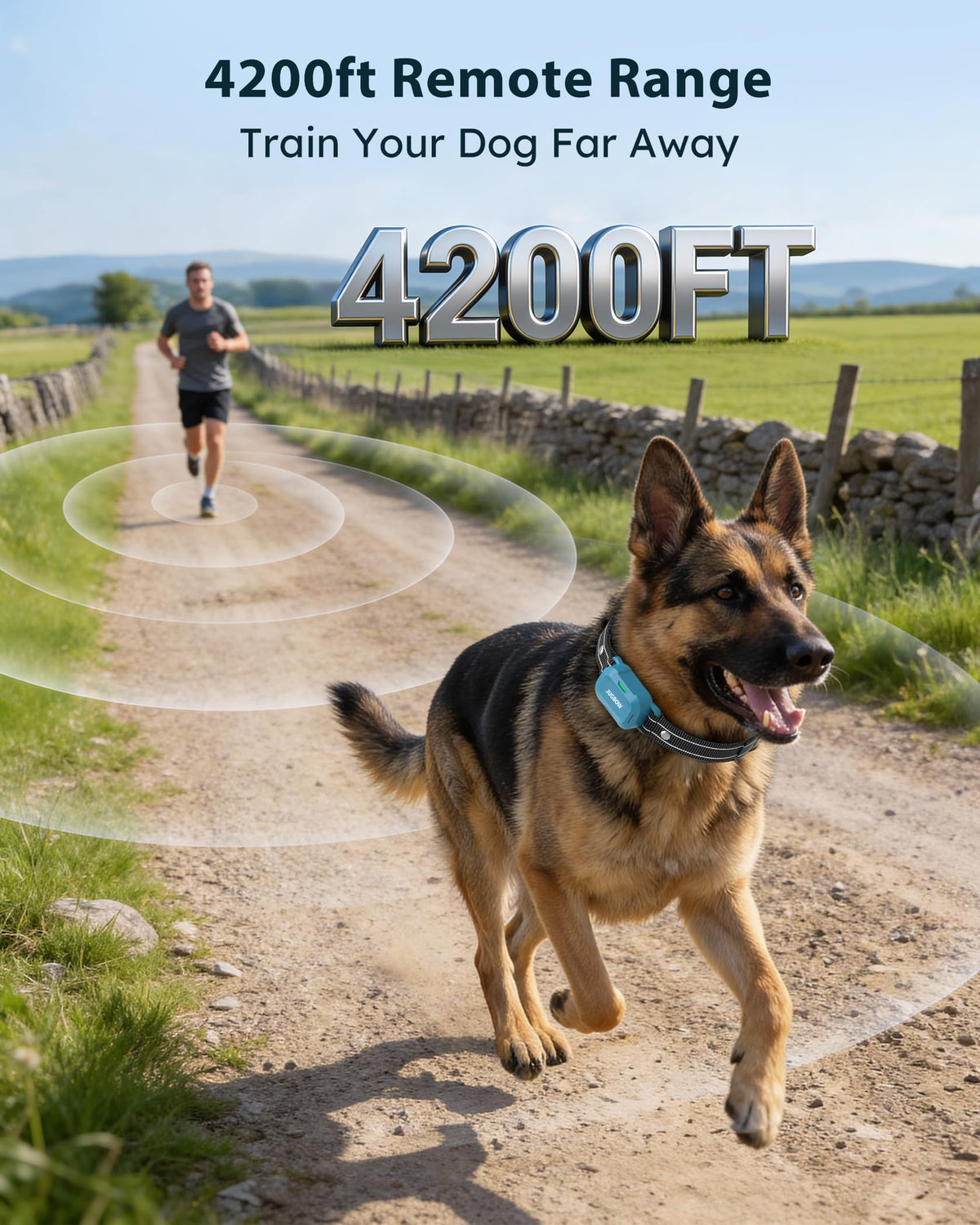 Dog Training Collar with Remote S1510