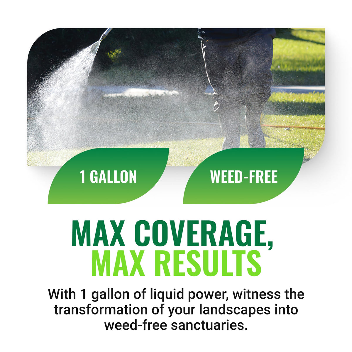 Weed Killer 1 Gallon V1825