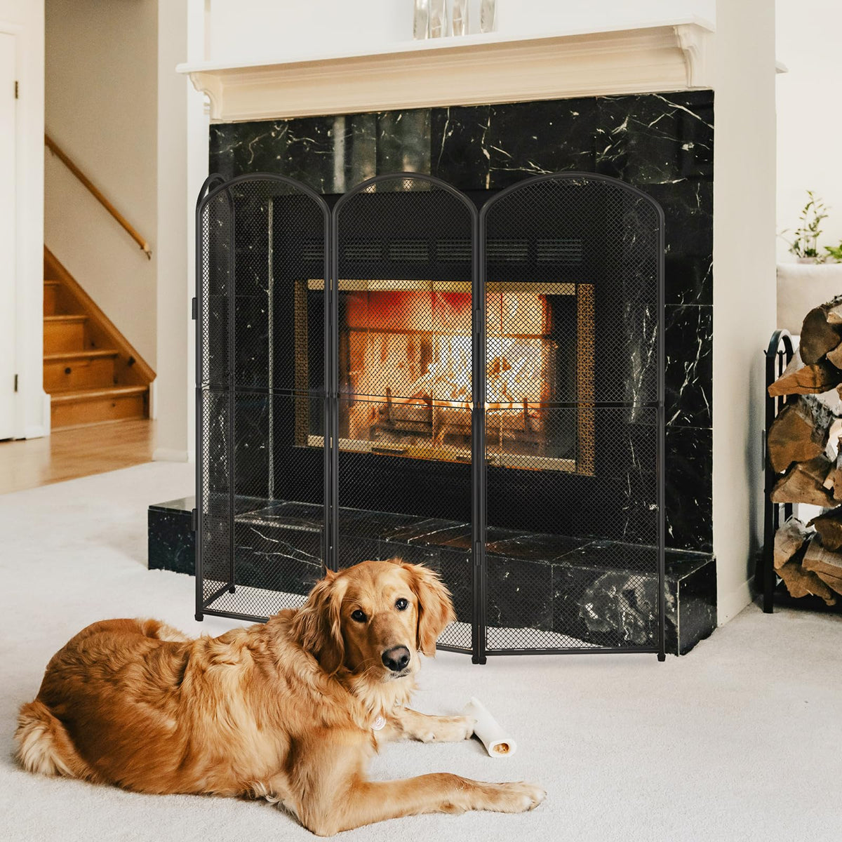 Black Foldable Fireplace Screen H1933
