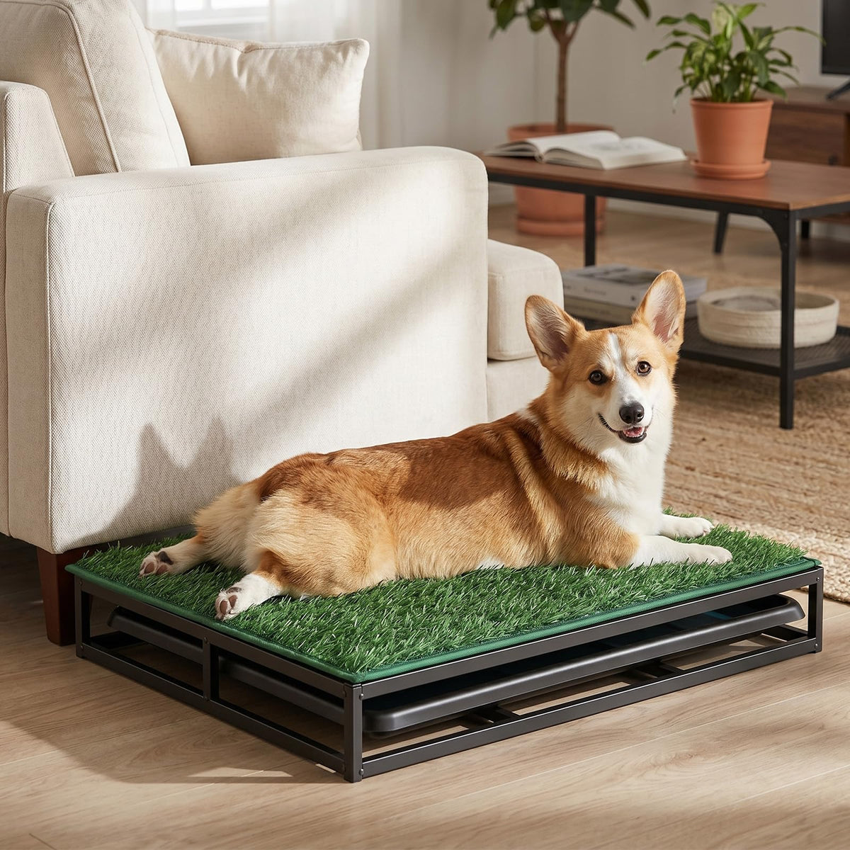 304 Stainless Steel Grass Potty Tray D188694
