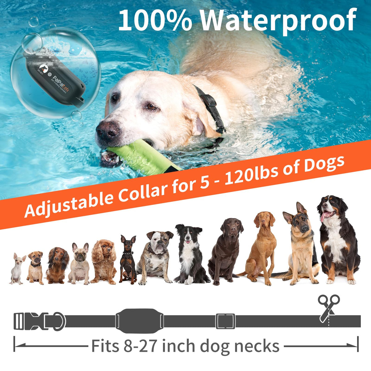 Vibration & Beep Dog Training Collar with Remote W888