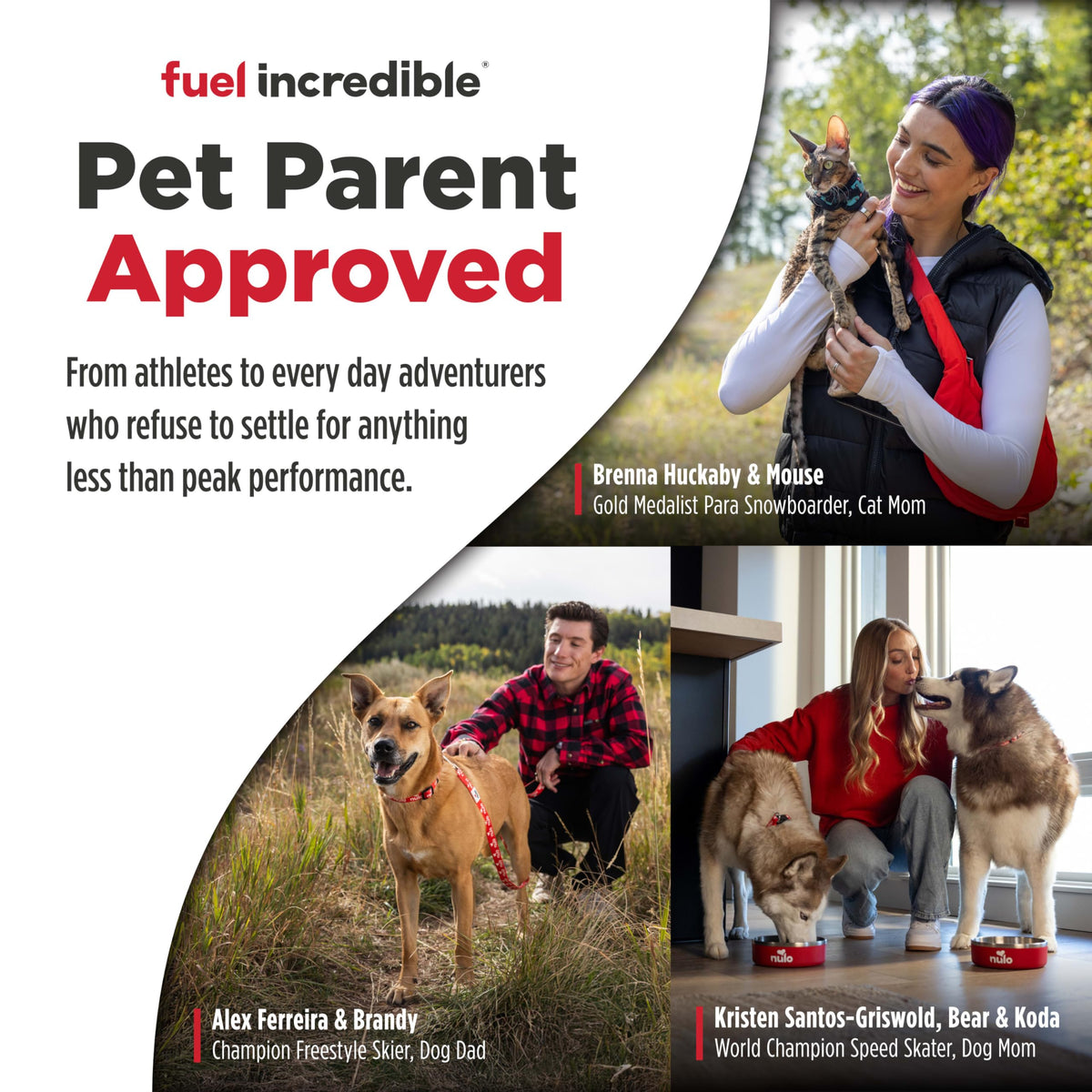 High Protein Grain Free Dry Dog Food F9204
