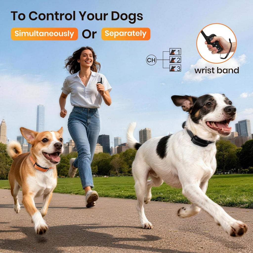 Vibration & Beep Dog Training Collar with Remote W888