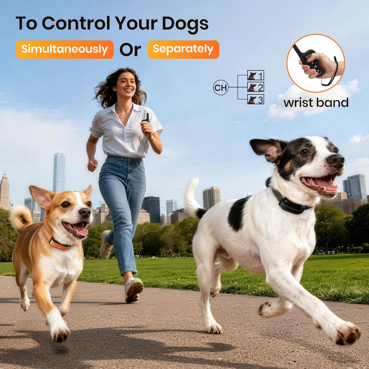 Vibration & Beep Dog Training Collar with Remote W888