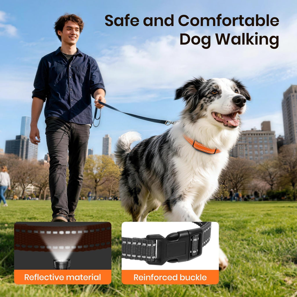 Vibration & Beep Dog Training Collar with Remote W888