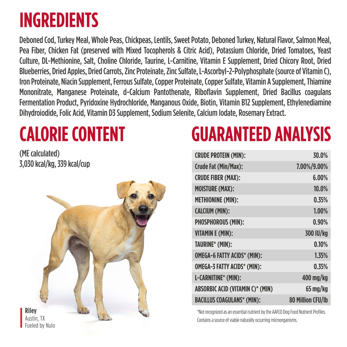 High Protein Grain Free Dry Dog Food F9204