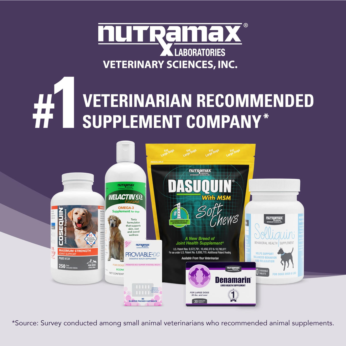 Liver Supplement for Medium Dogs, 30ct Tablets B27472