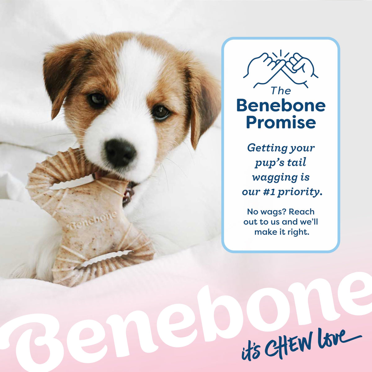 2-Pack Dog Chew Toys G32665