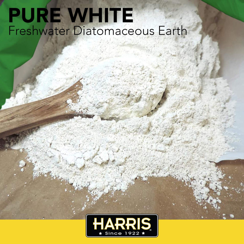 Diatomaceous Earth Food Grade Half Pound T3315