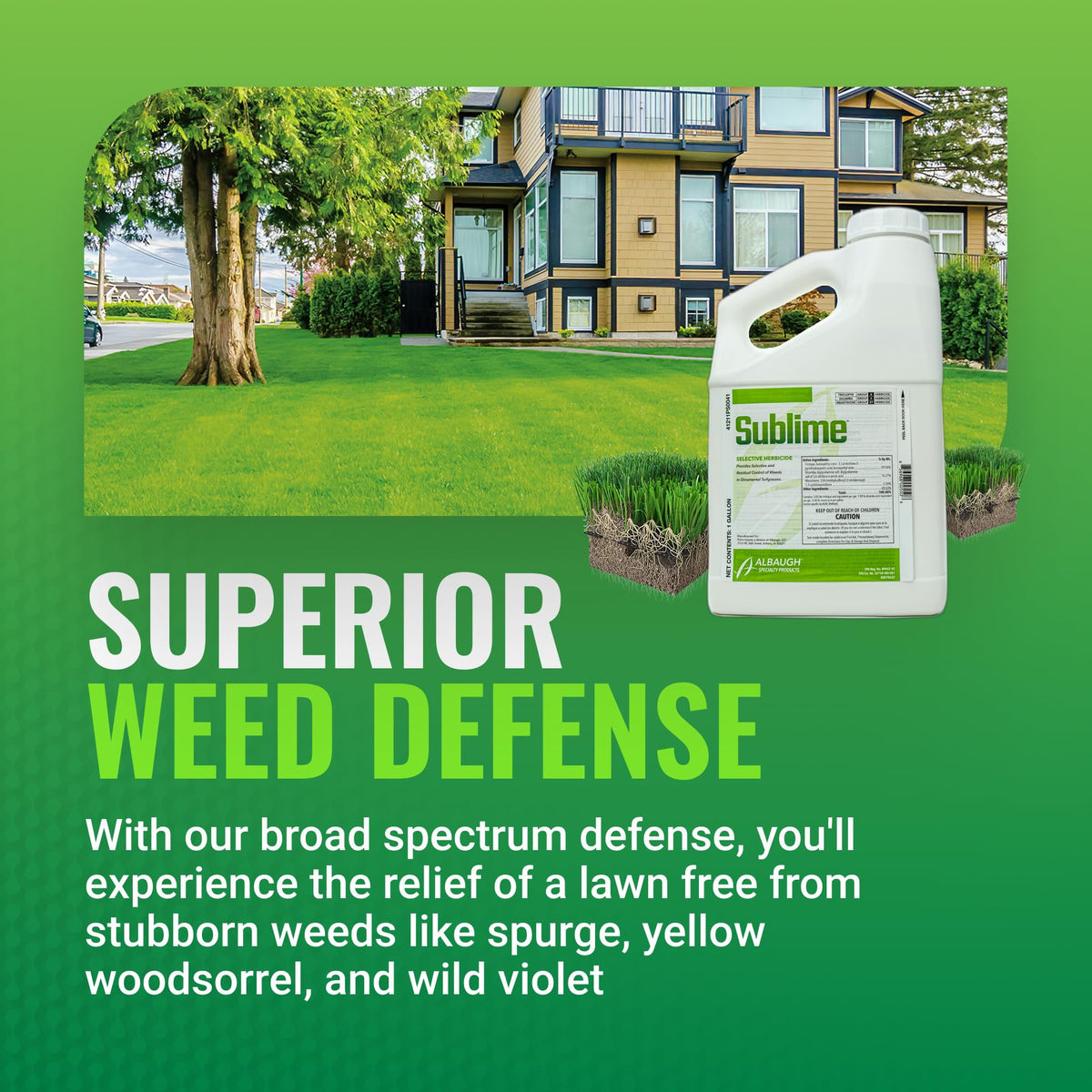 Weed Killer 1 Gallon V1825