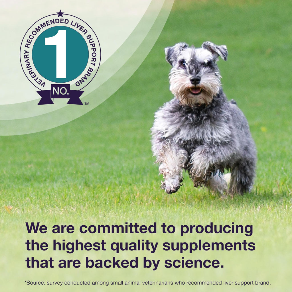 Liver Supplement for Medium Dogs, 30ct Tablets B27472