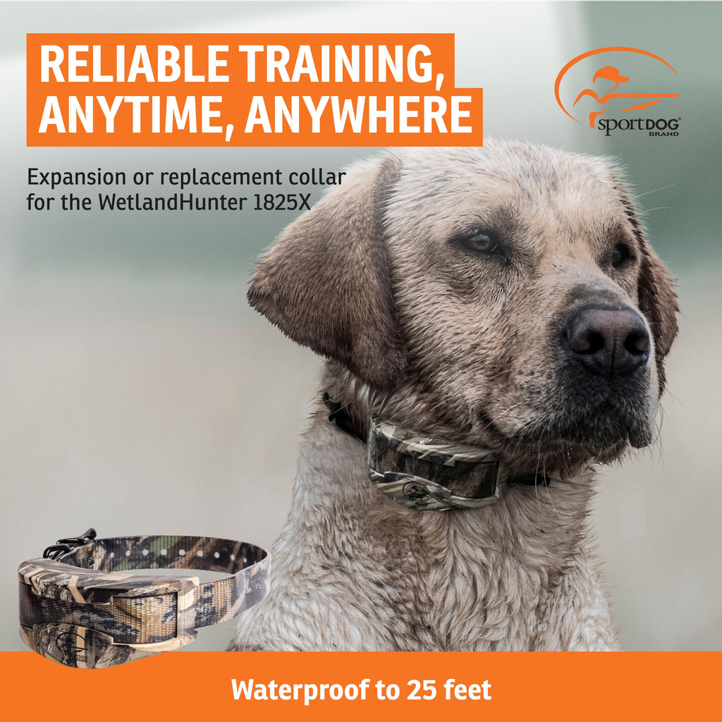 Waterproof Realtree Camo Add-A-Dog Collar E1279